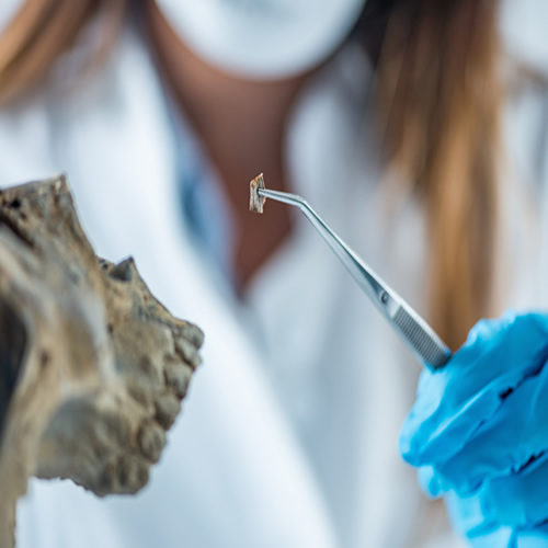 Forensic Anatomy
