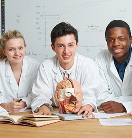 Anatomy & Physiology - MyFunScience.com