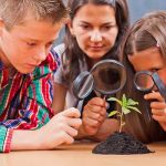 Young Scientist Botany - MyFunScience.com