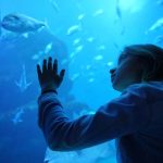 Young Scientist Marine Science - MyFunScience.com